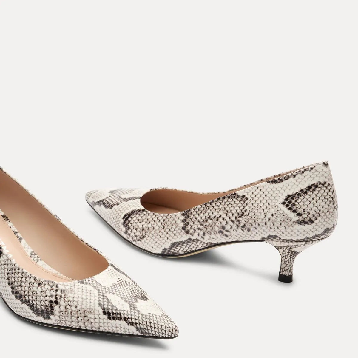Stuart Power Pump 50 - Roccia Snake-Print Leather